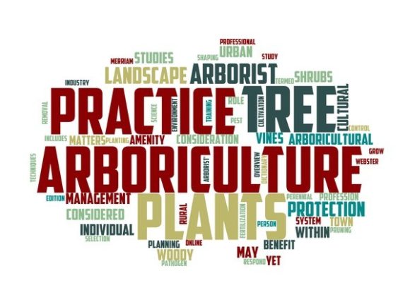 Arborist Typography Tumbler: A New Era in Creative Expression