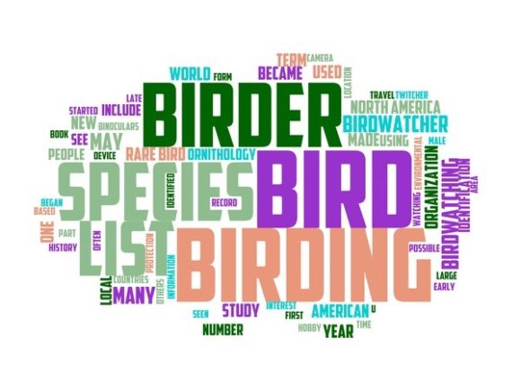 Bird Watching Typography Sticker