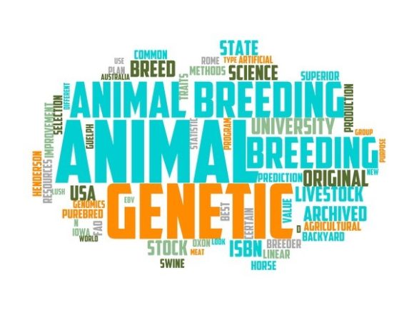 The Art of Animal Breeder Typography Banners and Hand Drawn Wordclouds: A Creative Tool for Every Designer